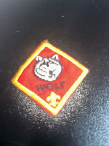 Boy scout bsa wolf - boy,