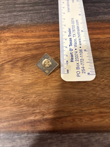 Older wolf cub scout pin - wolf, see